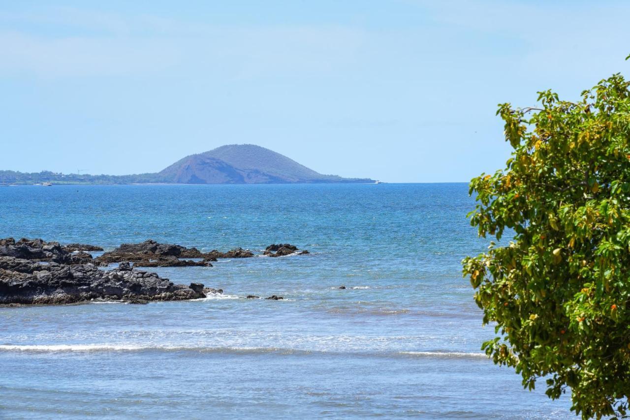 Kihei Park Shores 13 Dış mekan fotoğraf